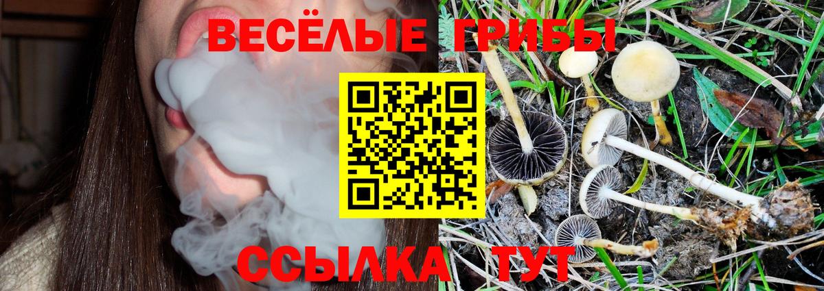 Среднеуральск  даркнет сайт  Вход с VPN  Псилоцибиновые грибы Magic Shrooms 